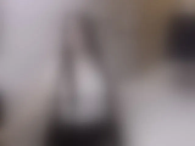 Live sex webcam photo for charlotte-mayers #293752117