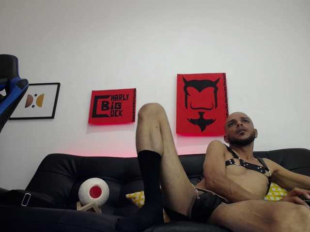 Live sex webcam photo for charly-cock #274035055