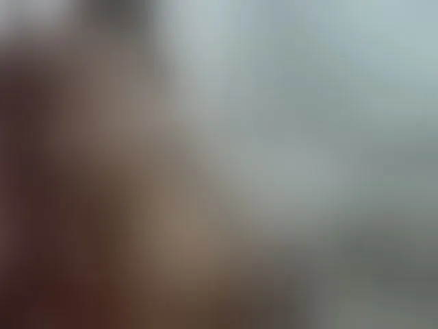 Live sex webcam photo for charrysexy #292574417