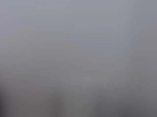Live sex webcam photo for charrysexy #293443470