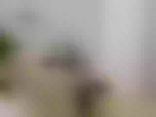 Live sex webcam photo for chaymae-nax #290801367