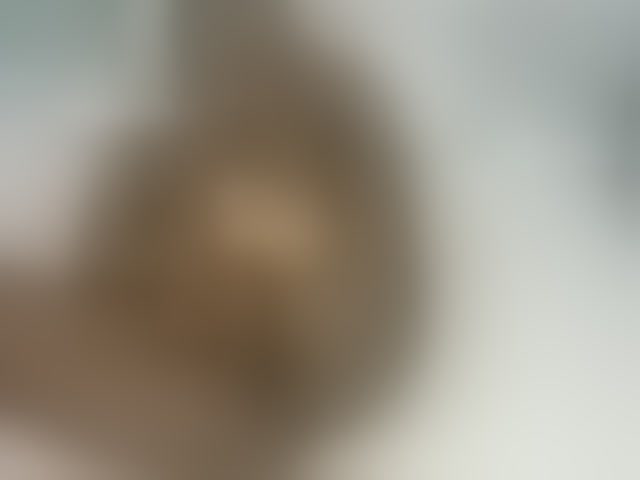 Live sex webcam photo for cherry96 #293457762