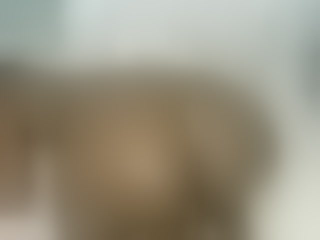 Live sex webcam photo for cherry96 #293524606