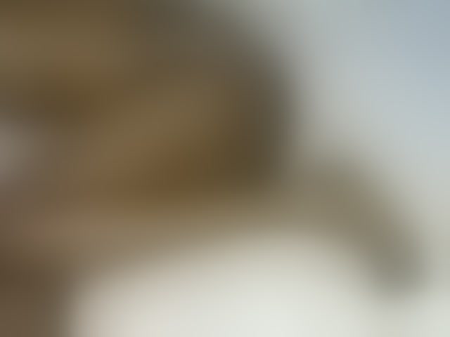 Live sex webcam photo for cherry96 #293582328