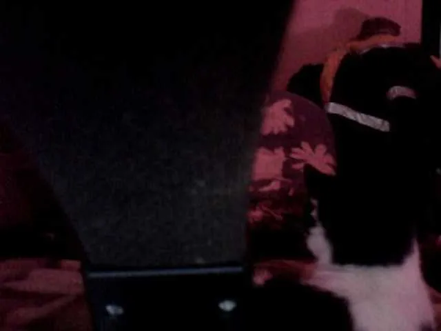 Live sex webcam photo for chevchev1995 #290171782