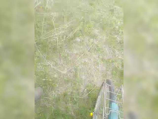 Live sex webcam photo for chevchev1995 #290995757