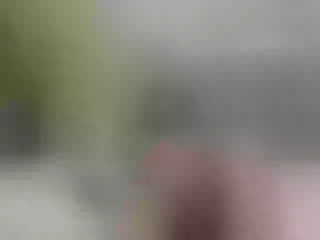 Live sex webcam photo for chicasirbo #290165598
