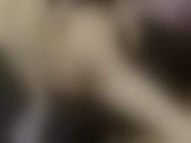 Live sex webcam photo for cintia7cute #291249611