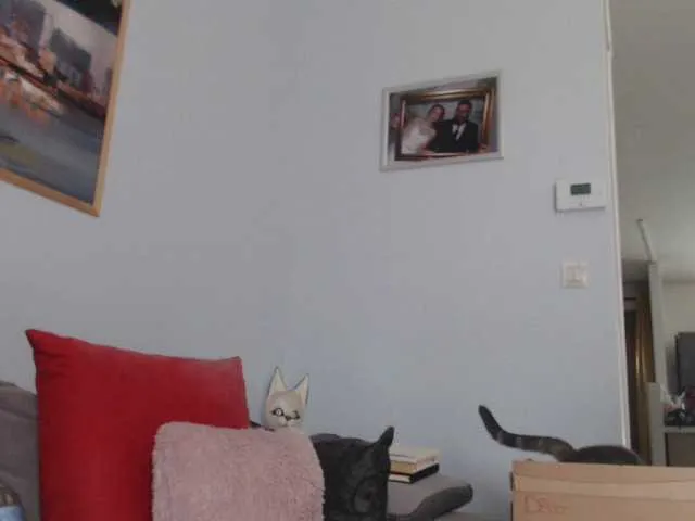 Live sex webcam photo for cleophee #290738338