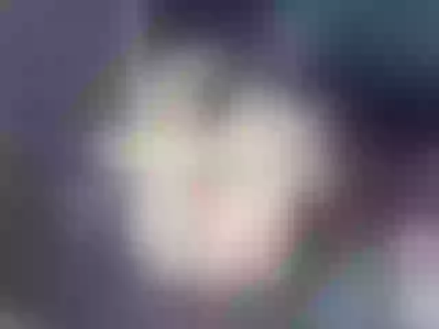 Live sex webcam photo for cloeerabbyt #291784049