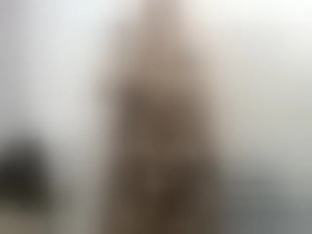 Live sex webcam photo for cloeerabbyt #292410228