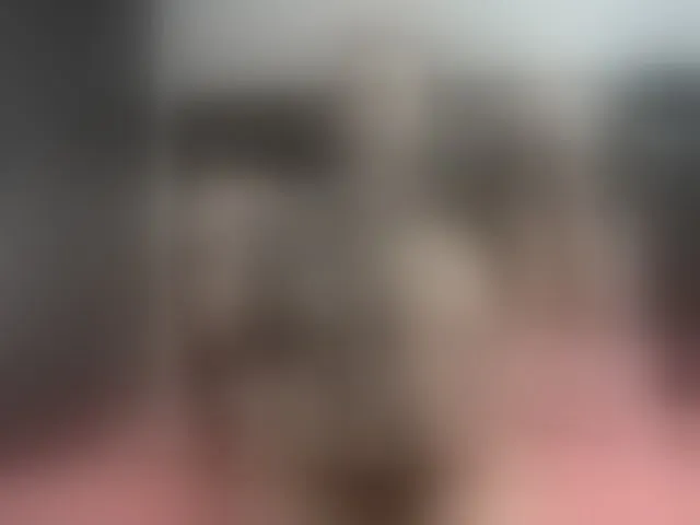 Live sex webcam photo for cloeerabbyt #292757209
