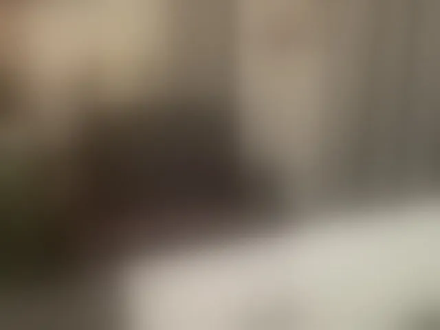 Live sex webcam photo for coach-karl #293234332