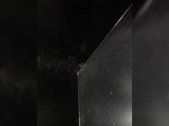 Live sex webcam photo for condor75 #277761113