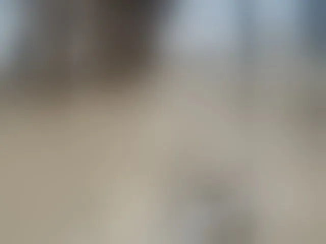 Live sex webcam photo for cordelia #291285396