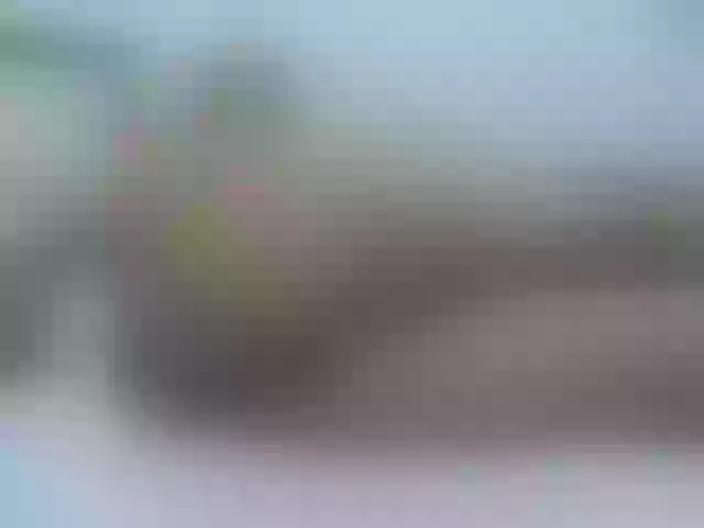Live sex webcam photo for cordelia #291482004