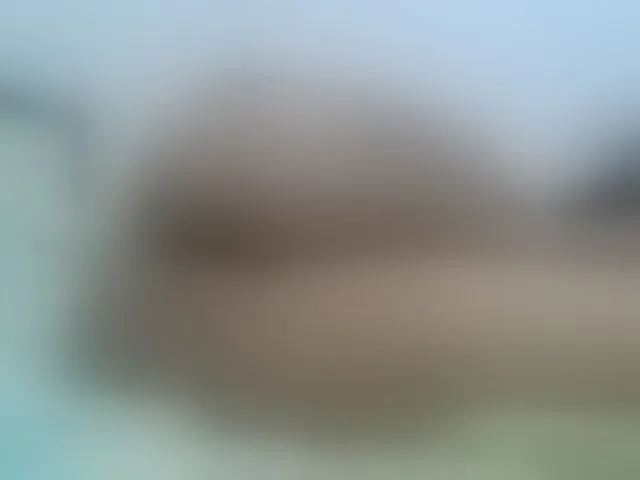 Live sex webcam photo for cordelia #291708463