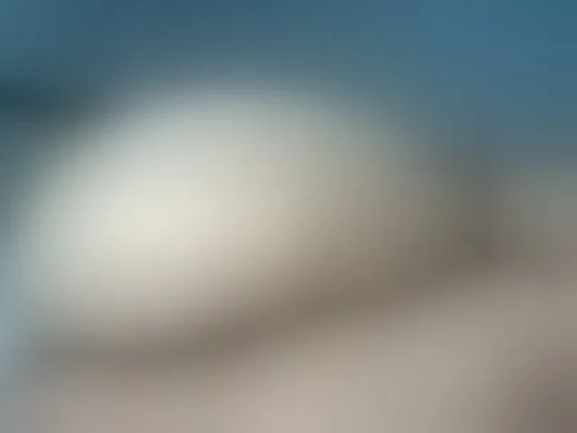 Live sex webcam photo for cordelia #292401119