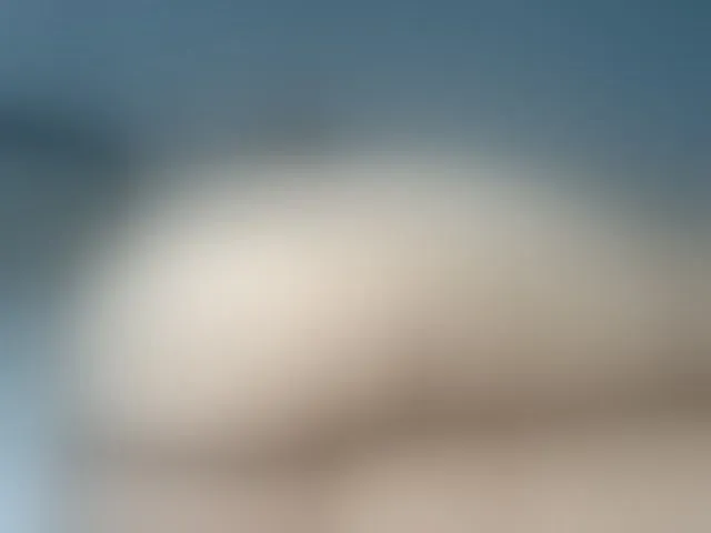 Live sex webcam photo for cordelia #292440157