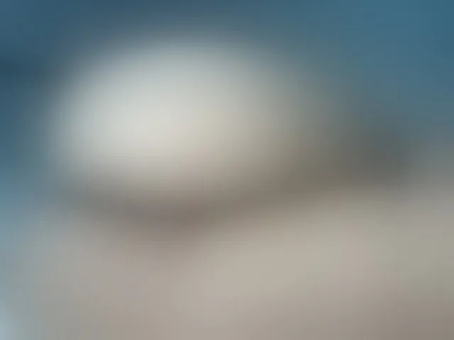 Live sex webcam photo for cordelia #292448664