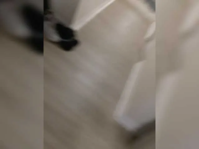 Live sex webcam photo for couplelove13 #276456175