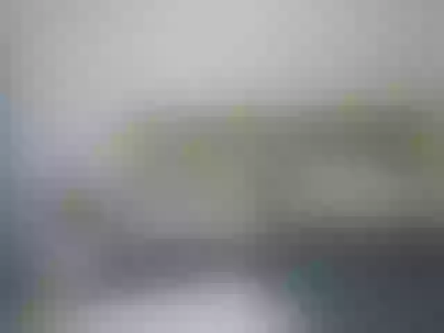 Live sex webcam photo for couplesexxx28 #291977895