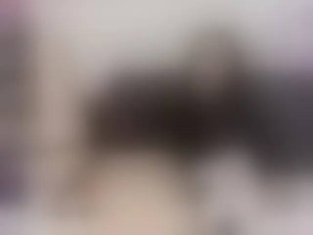 Live sex webcam photo for crazy-toy #293051420