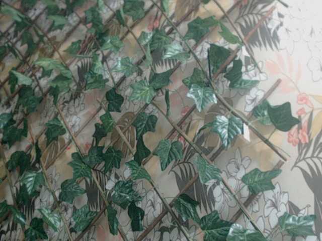 Live sex webcam photo for crislingery- #277803158