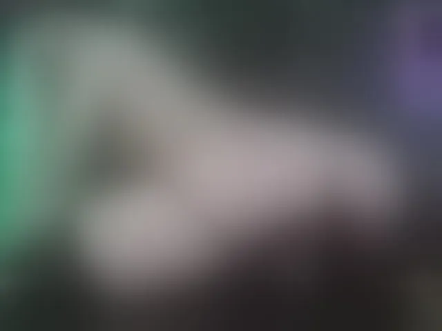 Live sex webcam photo for crislingery-doll #293531041