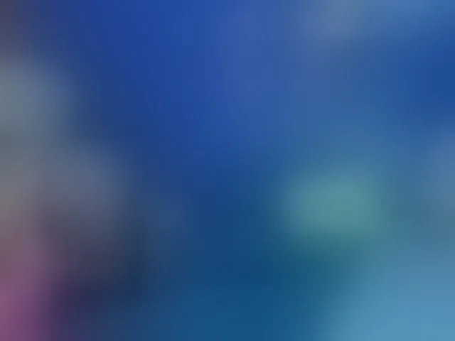 Live sex webcam photo for cumloves #293168505