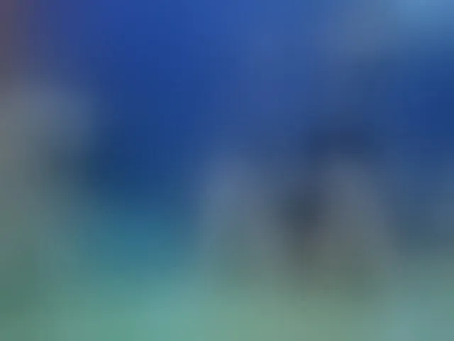 Live sex webcam photo for cumloves #293329789