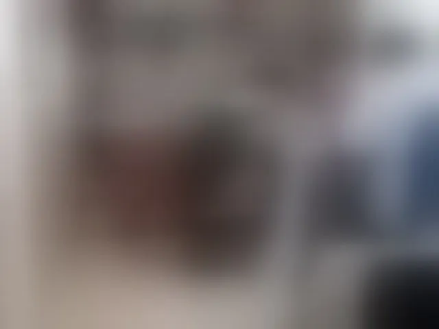 Live sex webcam photo for curiousnasty #293127427