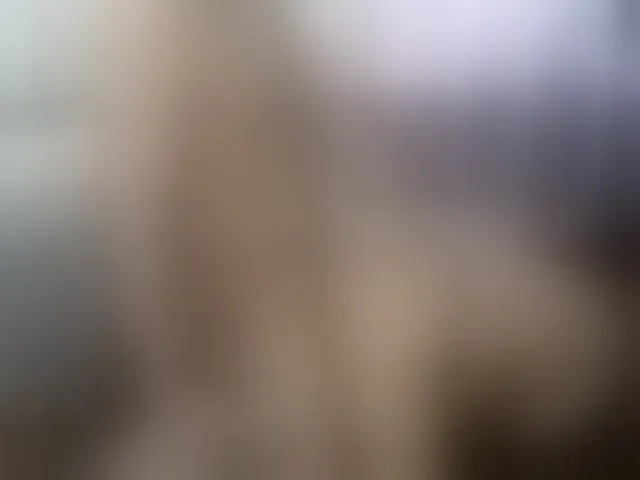 Live sex webcam photo for curiousnasty #294051422