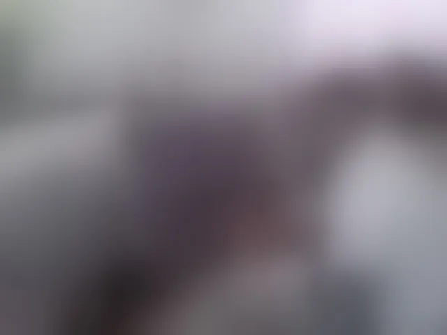 Live sex webcam photo for curiousnasty #294091280