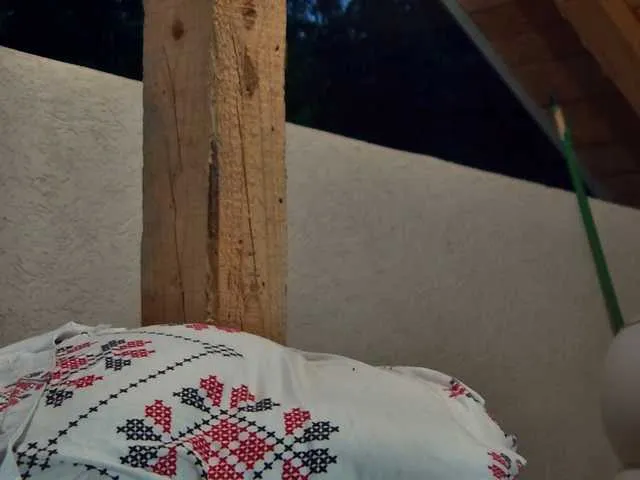 Live sex webcam photo for curvyana #291630554