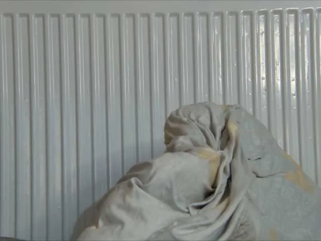 Live sex webcam photo for curvyana #291874010