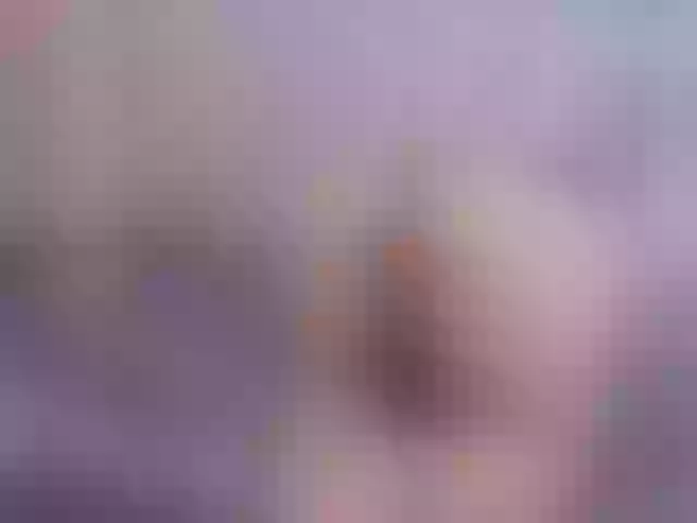 Live sex webcam photo for curvybrunnett #291938574