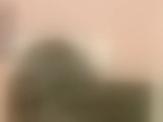 Live sex webcam photo for curvybrunnett #293387537