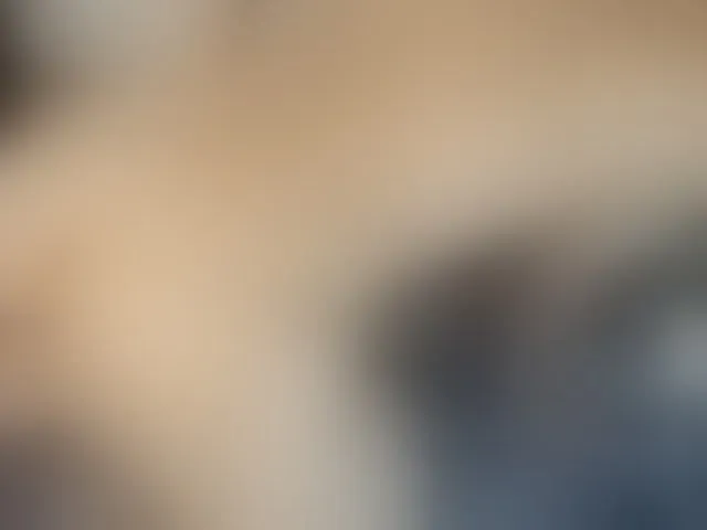 Live sex webcam photo for curvymilff #293486863