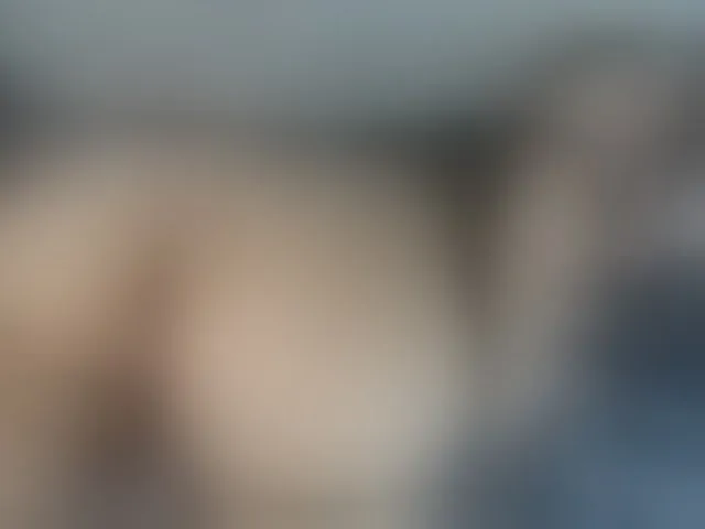 Live sex webcam photo for curvymilff #293499822