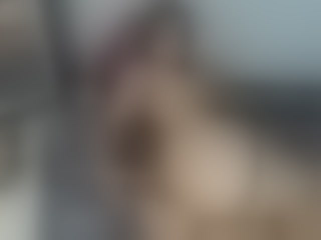 Live sex webcam photo for curvymilff #294153626