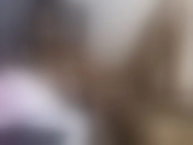 Live sex webcam photo for curvypetite001 #292749040