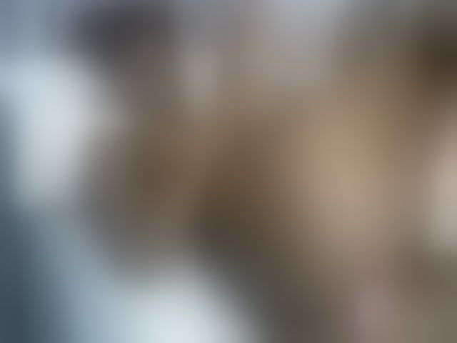 Live sex webcam photo for curvypetite001 #292856220
