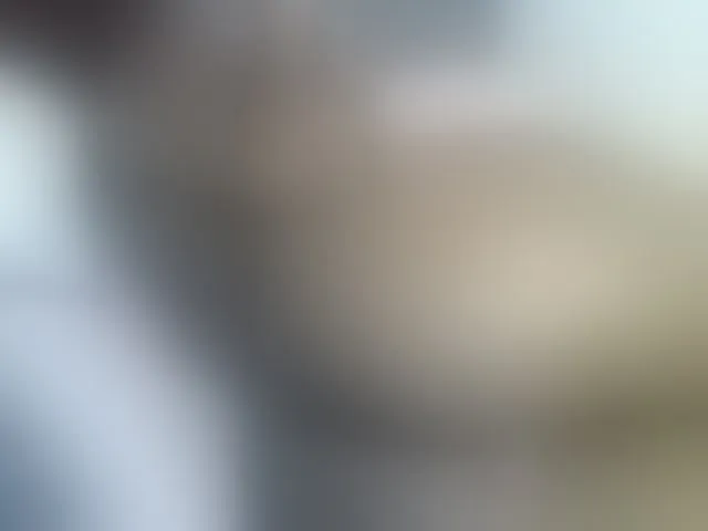 Live sex webcam photo for curvypetite001 #292924977