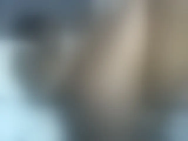 Live sex webcam photo for curvypetite001 #293129099