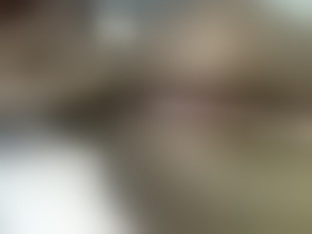 Live sex webcam photo for curvypetite001 #293174410