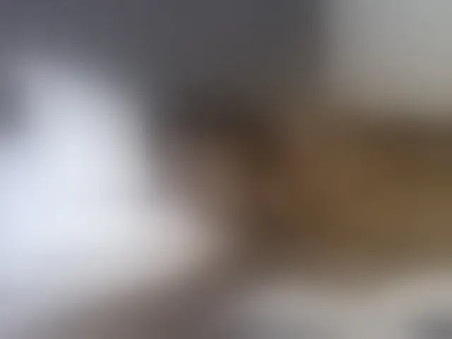 Live sex webcam photo for curvypetite001 #293232132