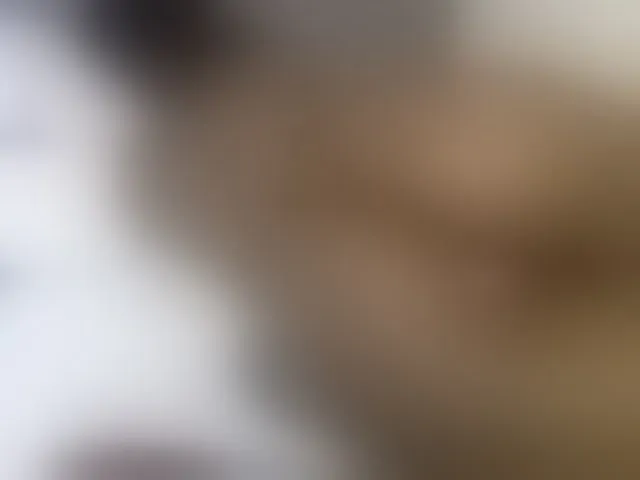Live sex webcam photo for curvypetite001 #293234460