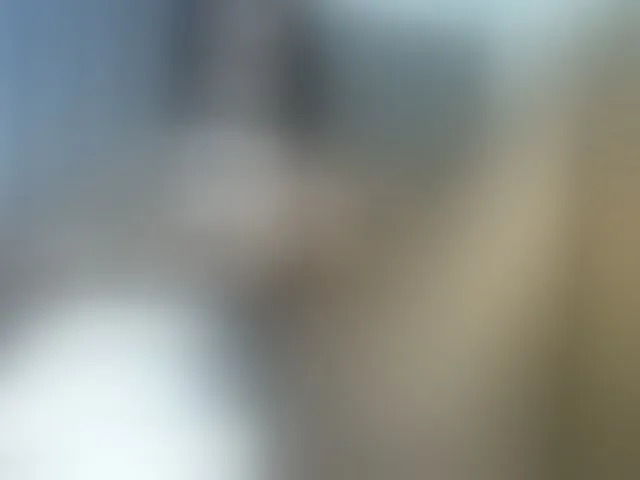 Live sex webcam photo for curvypetite001 #293253008