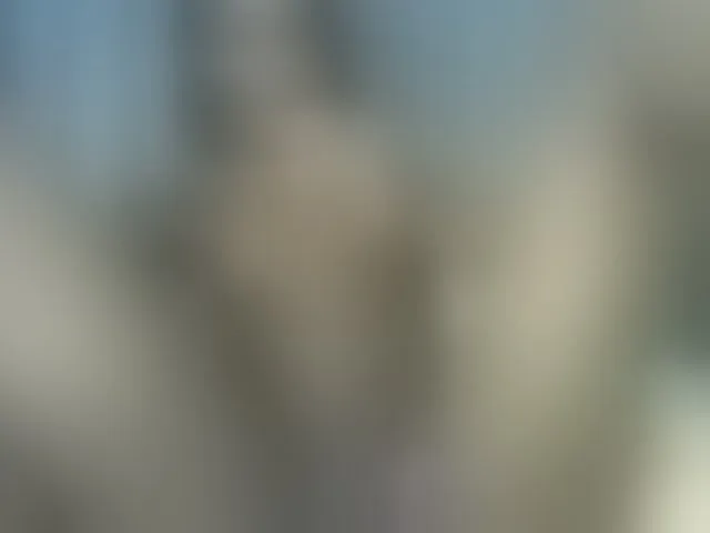 Live sex webcam photo for curvypetite001 #293328034